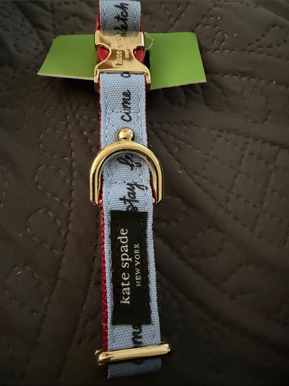 kate spade light blue dog collar with red trim and gold hardware nwot
